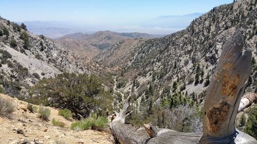 Panoramic shot of dog on mountain against sky