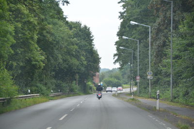 Vehicles on road by trees and street light