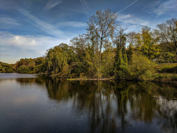 Reflection of trees in lake against sky