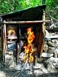 Fire firewood in fireplace