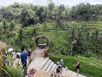 People walking by plants