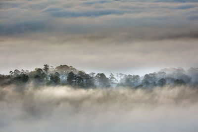 Scenic view of fog against sky