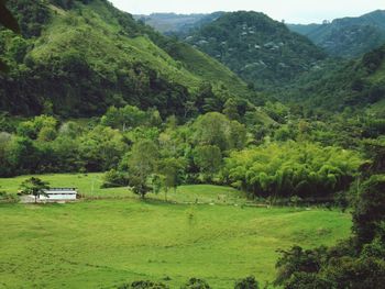 Scenic view of mountains