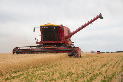Combine harvester working on wheat field 