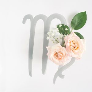 Close-up of vase against white background