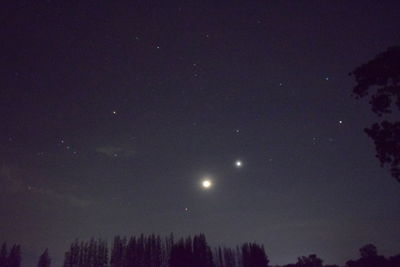 Low angle view of silhouette trees against sky at night