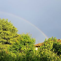 Low angle view of rainbow against sky