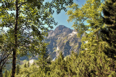 Scenic view of green landscape and mountains against sky