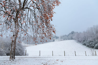 Snow covered field against sky