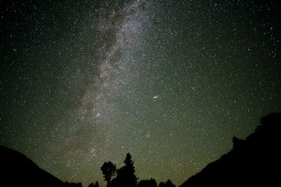 Low angle view of silhouette trees against sky at night