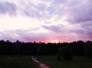 Trees against sky during sunset