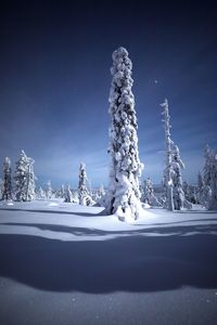 Snow covered landscape against clear sky at night