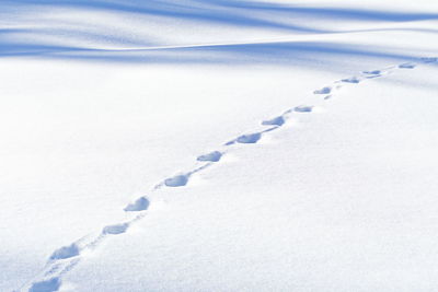 Close-up of footprints on snow covered land,