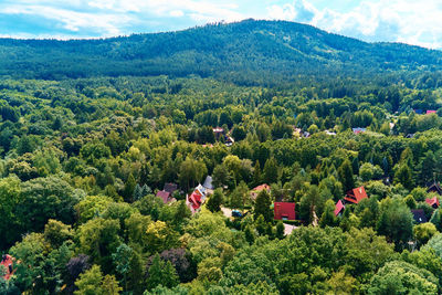 Mountain village with forests, bird eye view