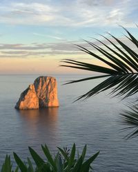 Scenic view of sea against sky at sunset in capri