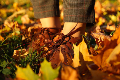 Female foot in capri pants and brogues shoes on dry autumn bright leaves background. bright woman