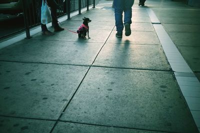 People walking on road