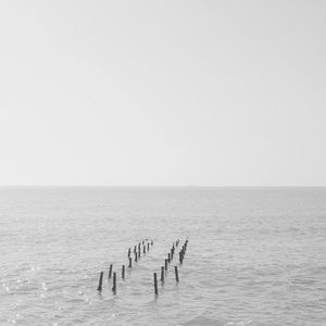 Birds perching on sea against clear sky