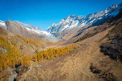 Mountain fire in autumn. a journey through the lark forests at an altitude of 2000m.