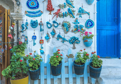 Potted plants on window of house