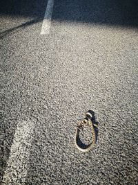 High angle view of zebra crossing on road