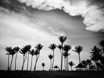 Palm trees on beach against sky