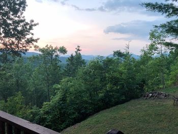 Scenic view of forest against sky during sunset