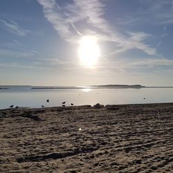 Scenic view of calm sea against sky