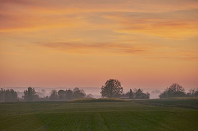 Scenic view of field against sky during sunset
