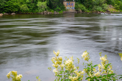 Scenic view of lake