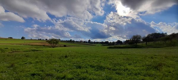 Scenic view of field against sky