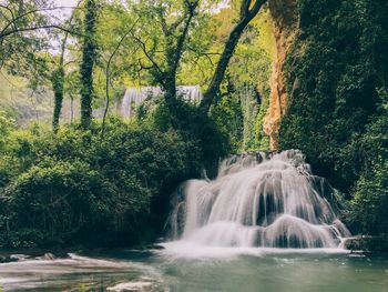 Waterfall in forest