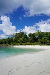 Scenic view of beach against blue sky