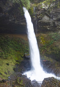 View of waterfall in forest