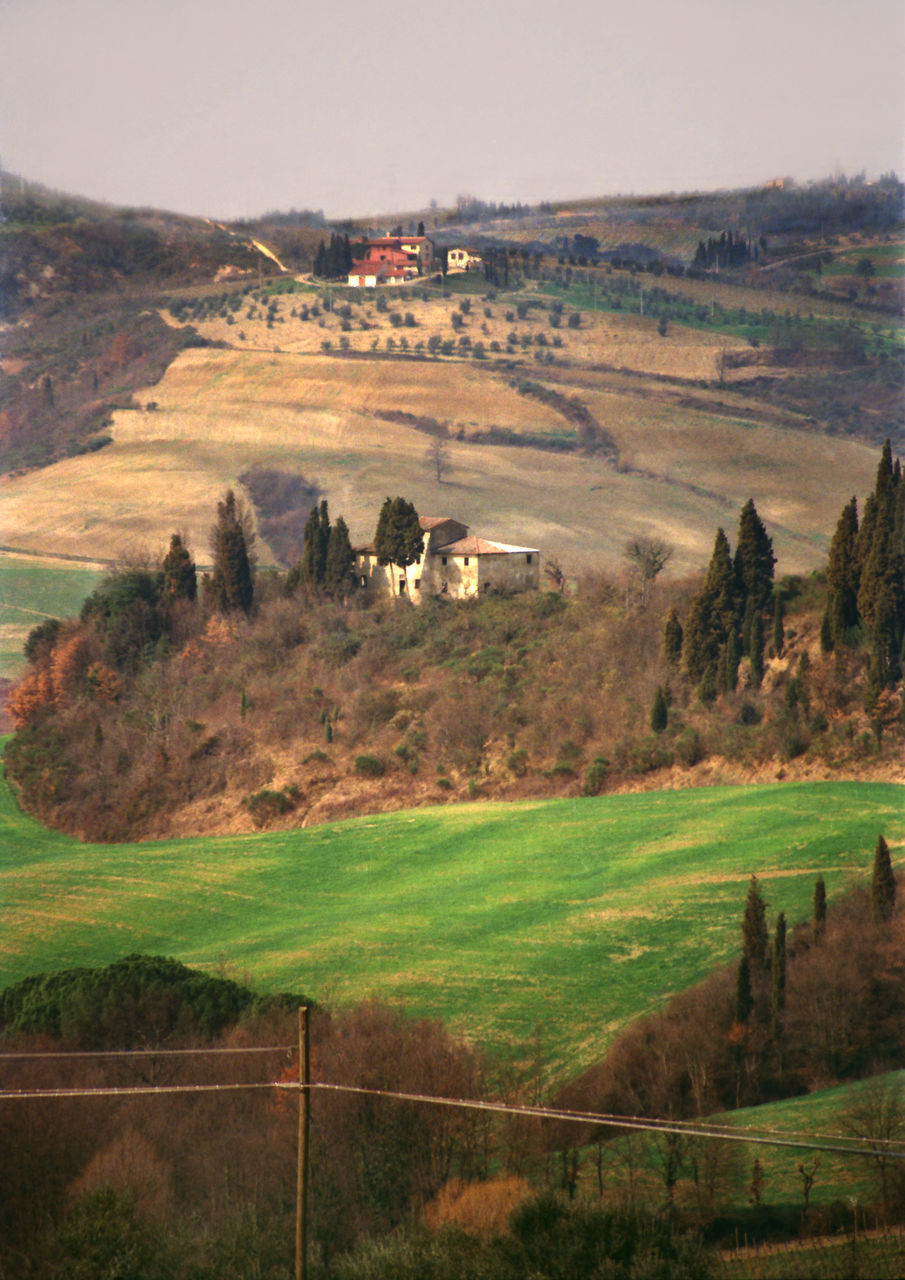 SCENIC VIEW OF FARM