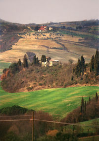 Scenic view of agricultural field