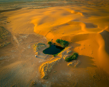  golden sands and palm oases in saudi arabia