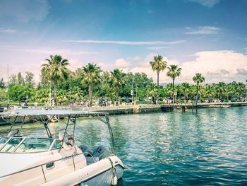 Scenic view of palm trees by sea against sky