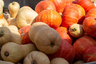 Full frame shot of pumpkins for sale at market