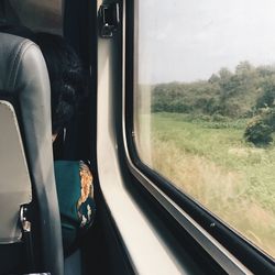 Rear view of person sitting in train