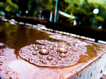 Close-up of water drops on leaf