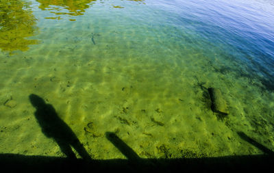 High angle view of a shadow of a sea