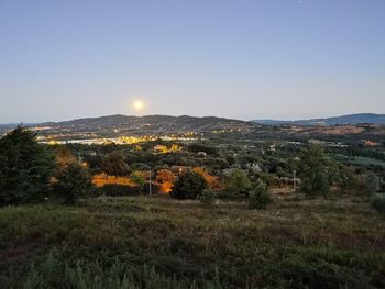 Scenic view of field against clear sky
