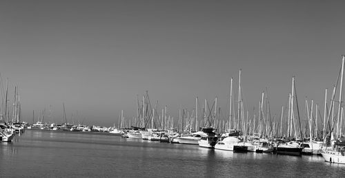 Sailboats in marina