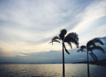 Silhouette palm tree by sea against sky