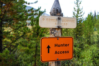 Information sign against trees at forest