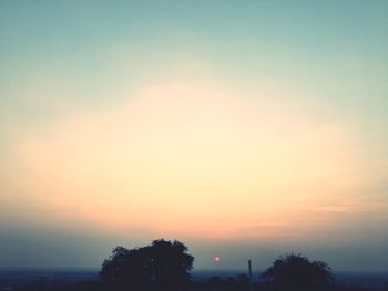 Low angle view of silhouette trees against sky during sunset