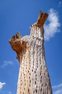 Low angle view of tree trunk against blue sky