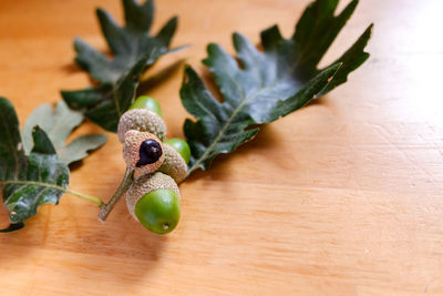 Close-up of green fruits on table