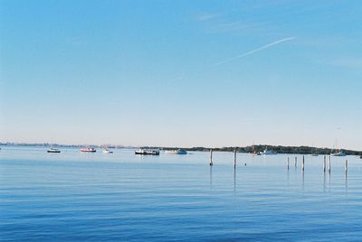 Sailboats in sea against clear blue sky